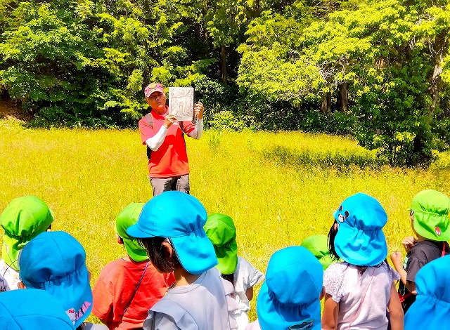 「フクロウの染物屋」の紙芝居を見る園児たち
