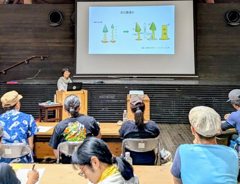 樹木の力学的強度について語る三戸さん
