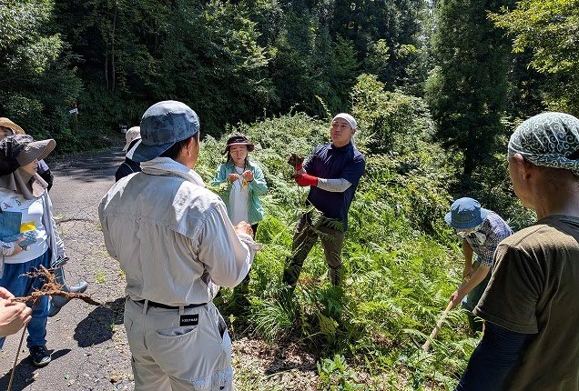 堀った地下茎について説明する前原さん