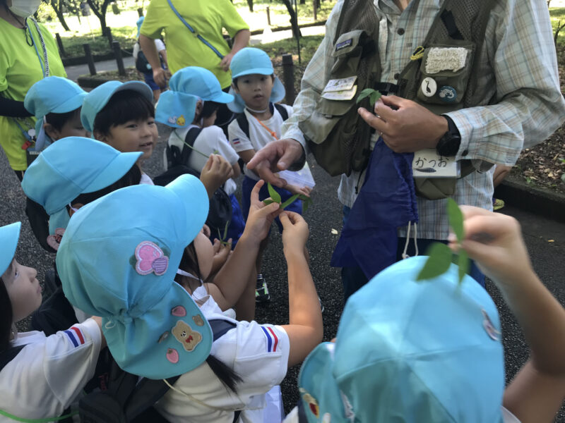 アレチヌスビトハギの葉をみせる子どもたち