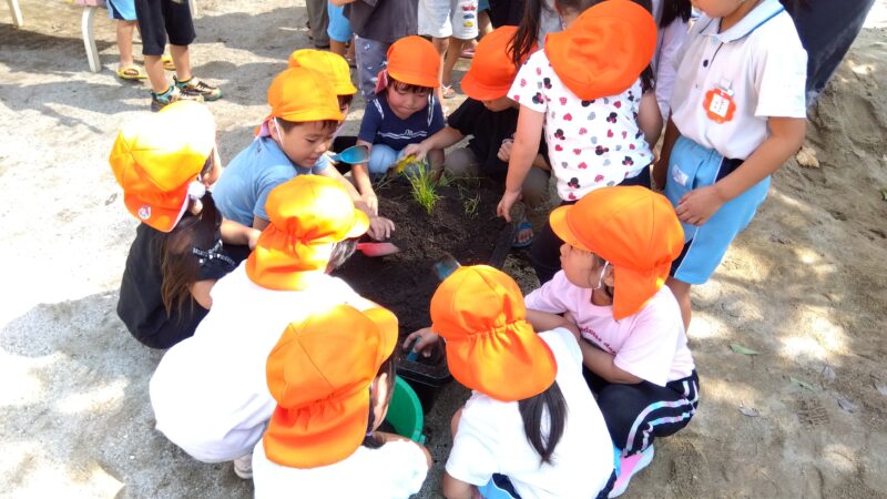 トロ舟に入れた土を成形中の子どもたち