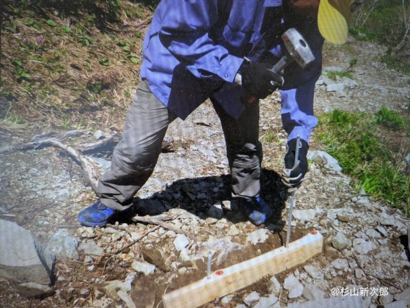 散策路の保全作業