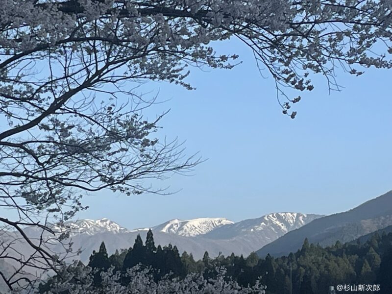 能郷白山