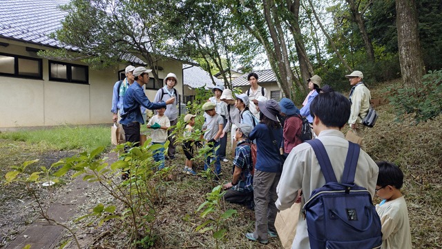 屋外できのこを探す参加者